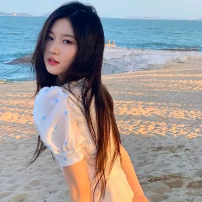 秘密指挥海报